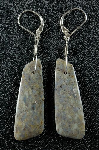 Green/Brown Spiderweb Dinosaur Gembone Earrings #22532